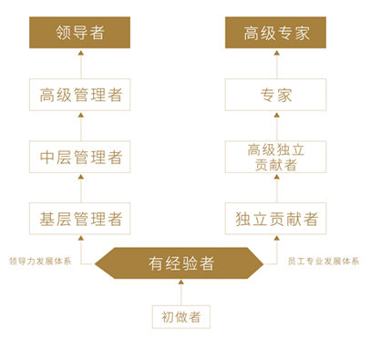 摩登7-造梦无限厂牌,开启娱乐新设想