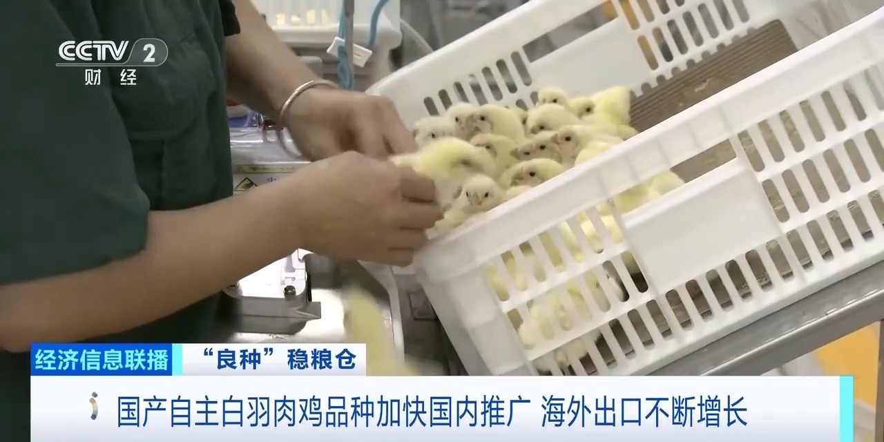摩登7-造梦无限厂牌,开启娱乐新设想